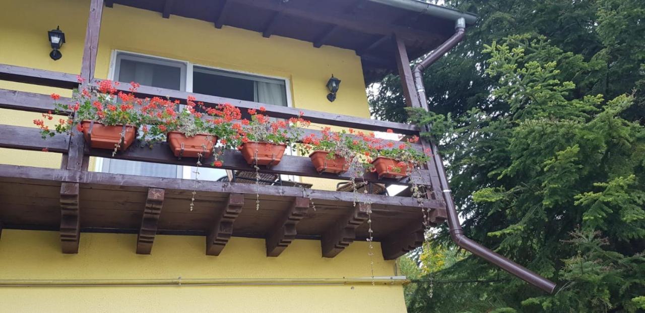 Apartamente Private A&L View Sinaia Extérieur photo