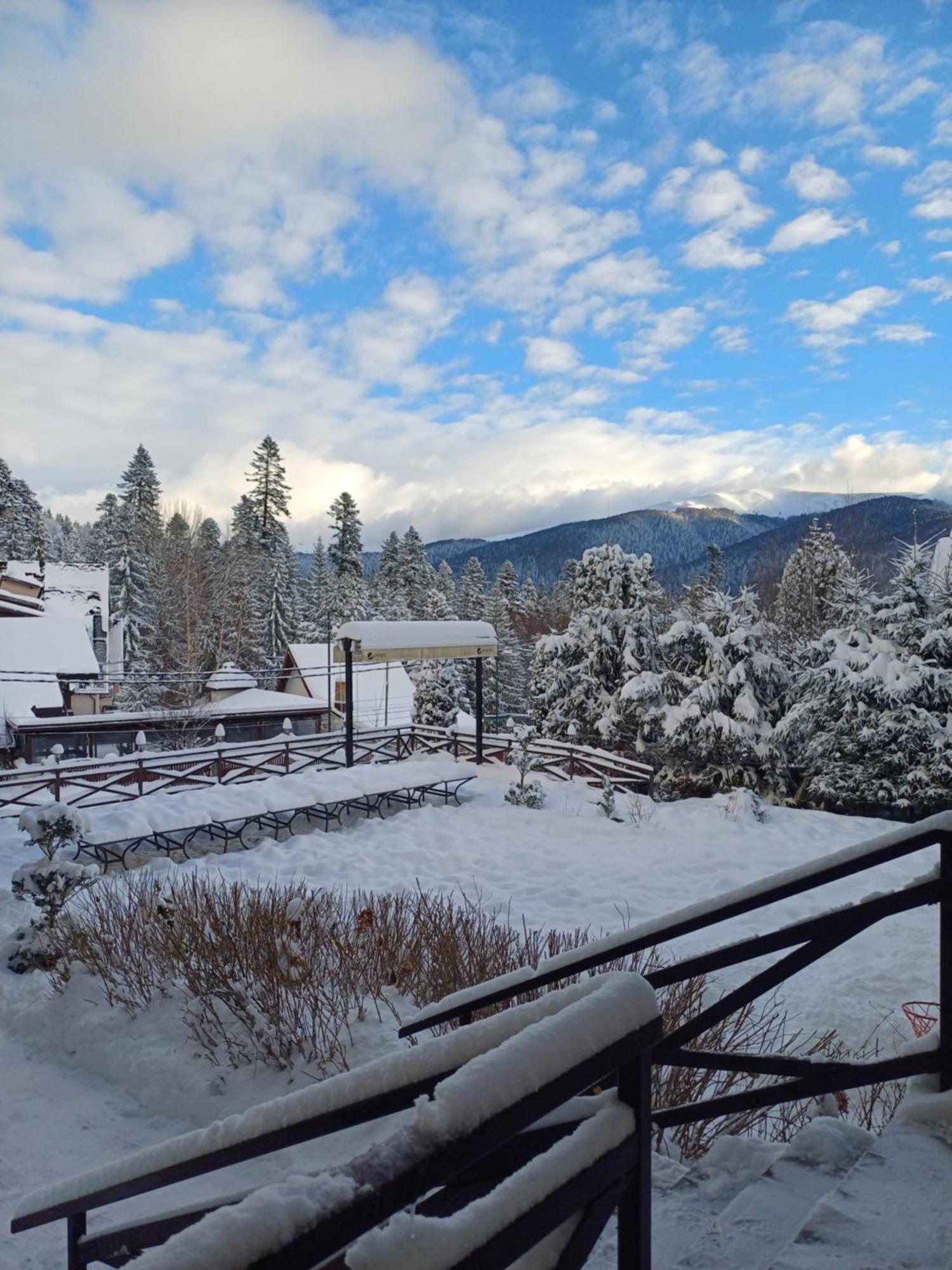 Apartamente Private A&L View Sinaia Extérieur photo